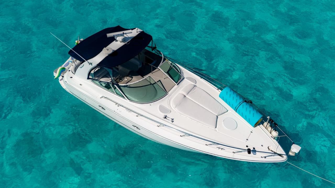 Colibrí Cruiser Yacht 40FT — Motor Yacht in Cancún